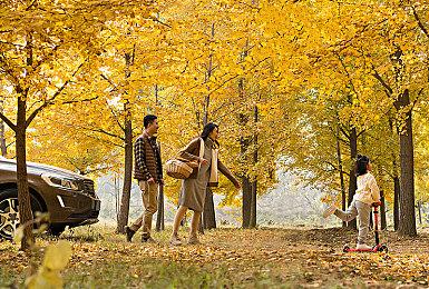 《忍者神龟：施莱德的复仇》将出席科隆展 展示全新内容