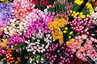 《新无主之地：传说》D加密被移除 历时约半年