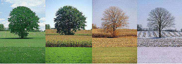 《生化危机7》与《生化2、3》重制PC版获升级补丁